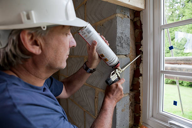 Best Geographic-Specific Insulation Services in Tahoma, CA